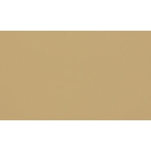 Skinn Ambassador Creme