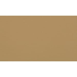 Skinn Ambassador Chamois