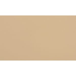 Skinn Ambassador Fresco