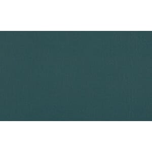 Skinn Ambassador Petrol