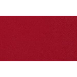 Skinn Ambassador Red