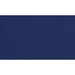 Skinn Ambassador Decor Blue