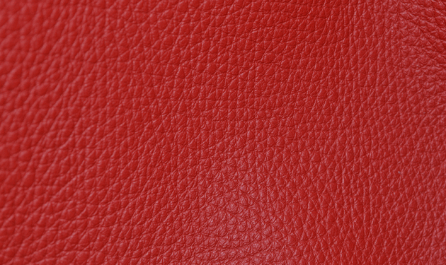 CA5019.png