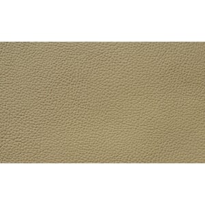 Skinn Catania Champignon