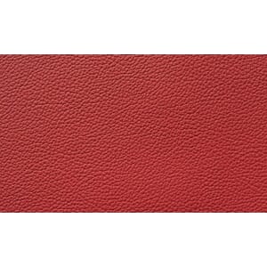 Skinn Catania Lipstick