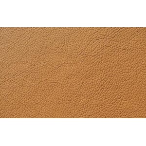 Skinn Dakota Brown