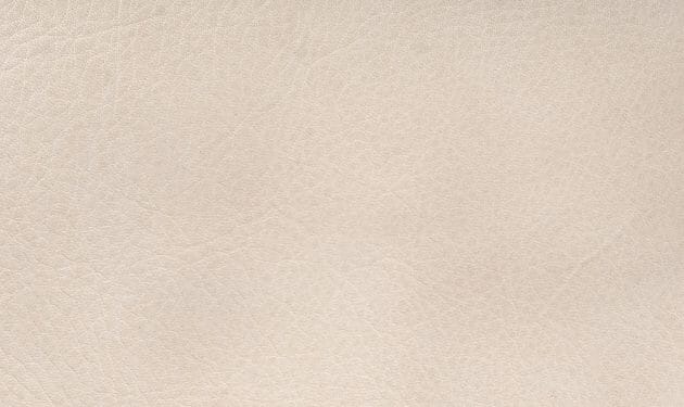 GE9265.jpg