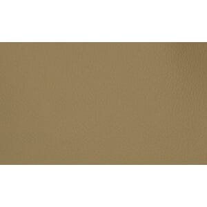 Skinn Mammut Parchment