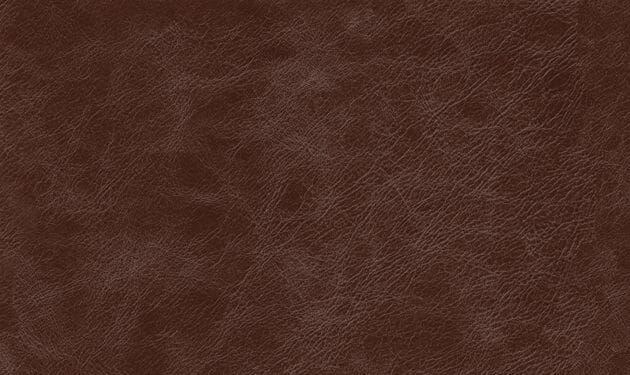 PI8200.jpg