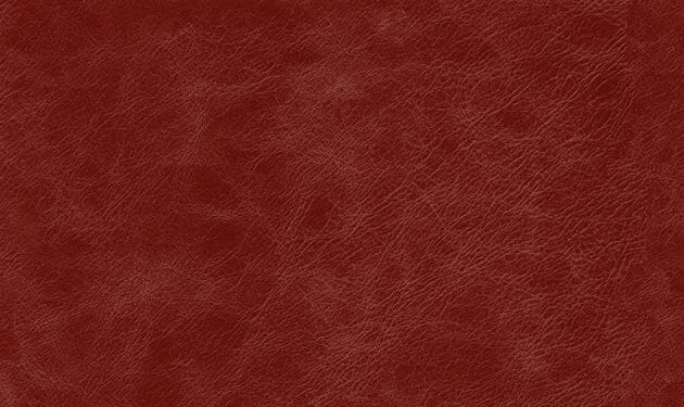 PI8300.jpg