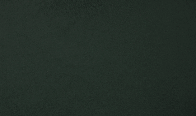 PO55125.png