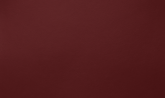 PO55127.png
