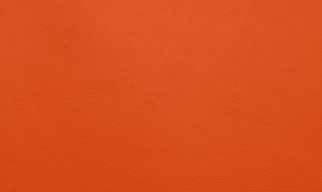 PO55188.png
