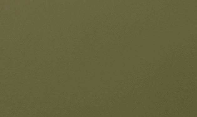 PO55189.png