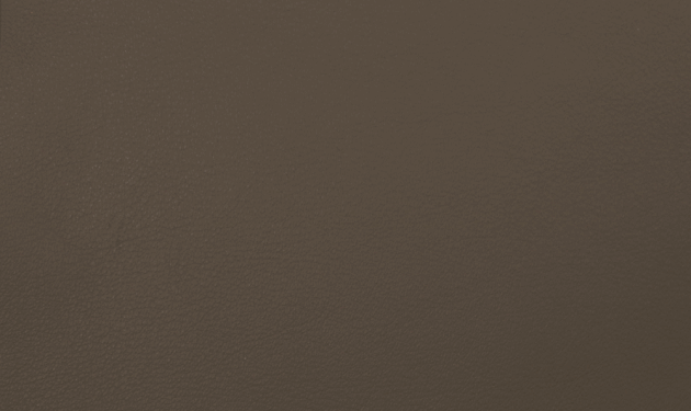 PO55205.png