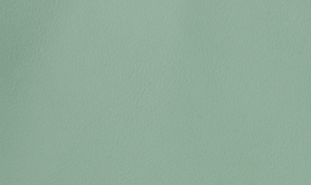 PO55229.png