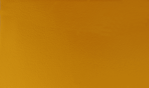 PO55230.png