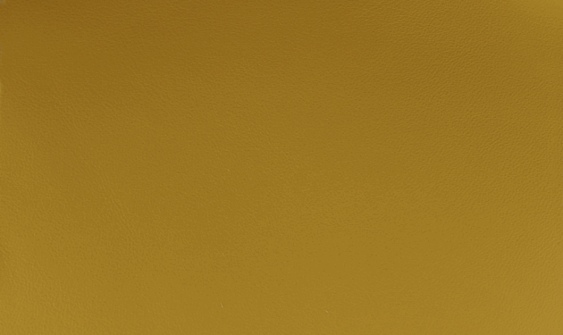PO55232.png