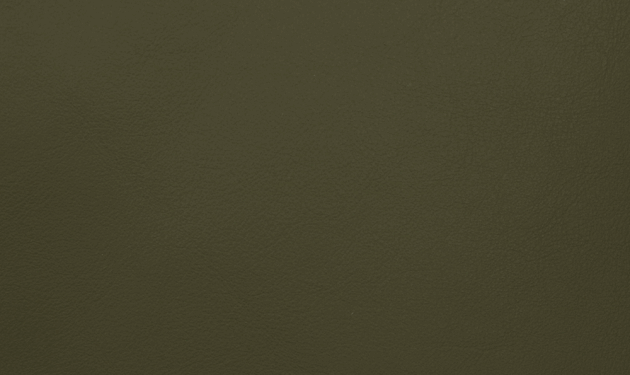 PO56036.png