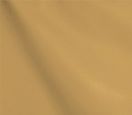 SC2440.jpg
