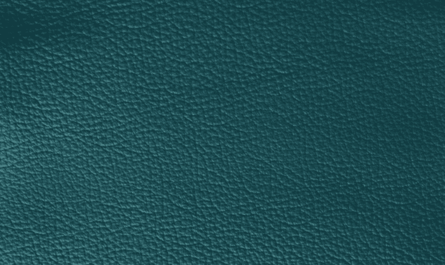 SI0336.png