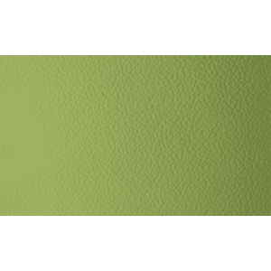 Skinn Sierra Lime