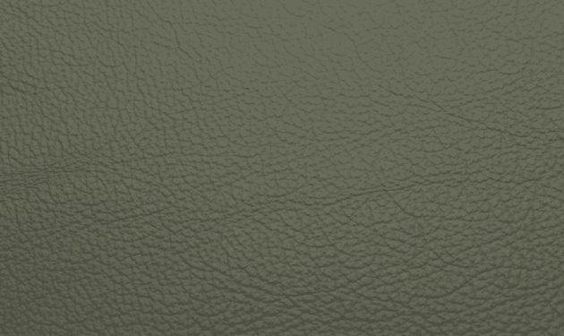SI0441.png