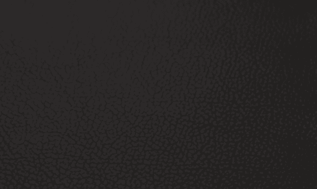 SI1001.png