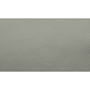 Skinn Sierra Plaster