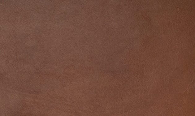 SIL0240.jpg