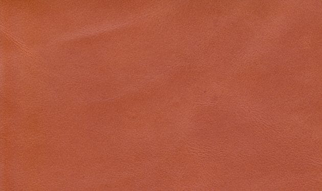 SIL0565.jpg