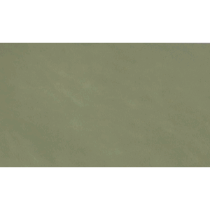 Skinn Silk Lagoon Green
