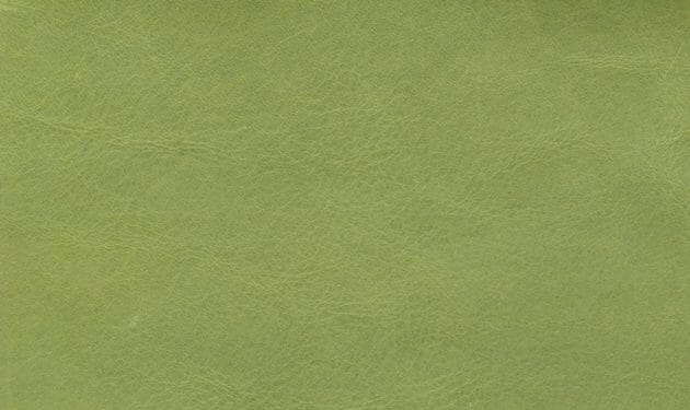 SIL0692.jpg