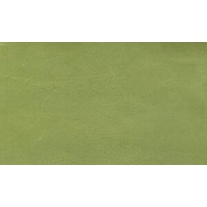 Skinn Silk Light Green