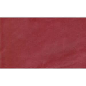 Skinn Silk Red