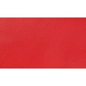 Skinn Sydney Clear Red