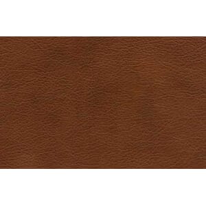 Skinn Sydney Kelato Brandy