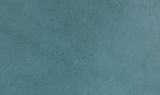 VC5241.jpg