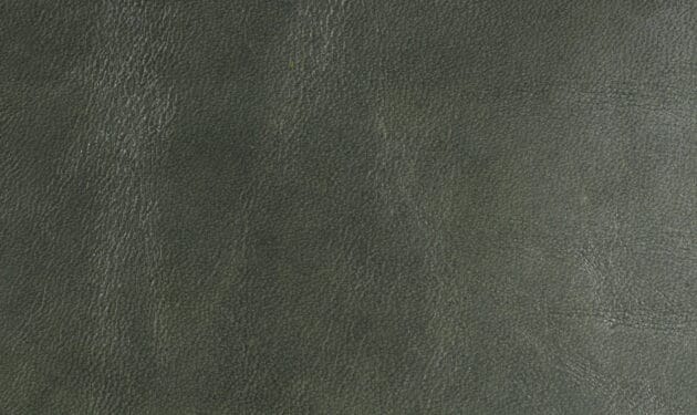 VC7246.jpg