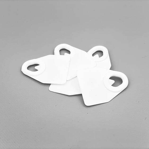 8559_2.jpg