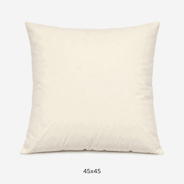 45x45.png