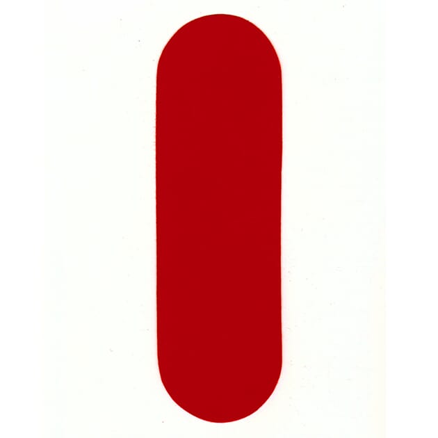 8556357.jpg