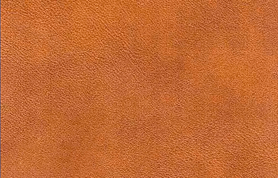 Screenshot 2026-08-26 132915.png