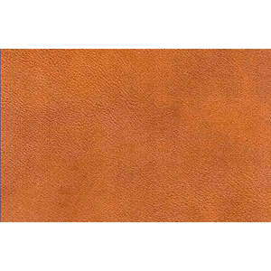 Skinn Sydney Kelato Brown